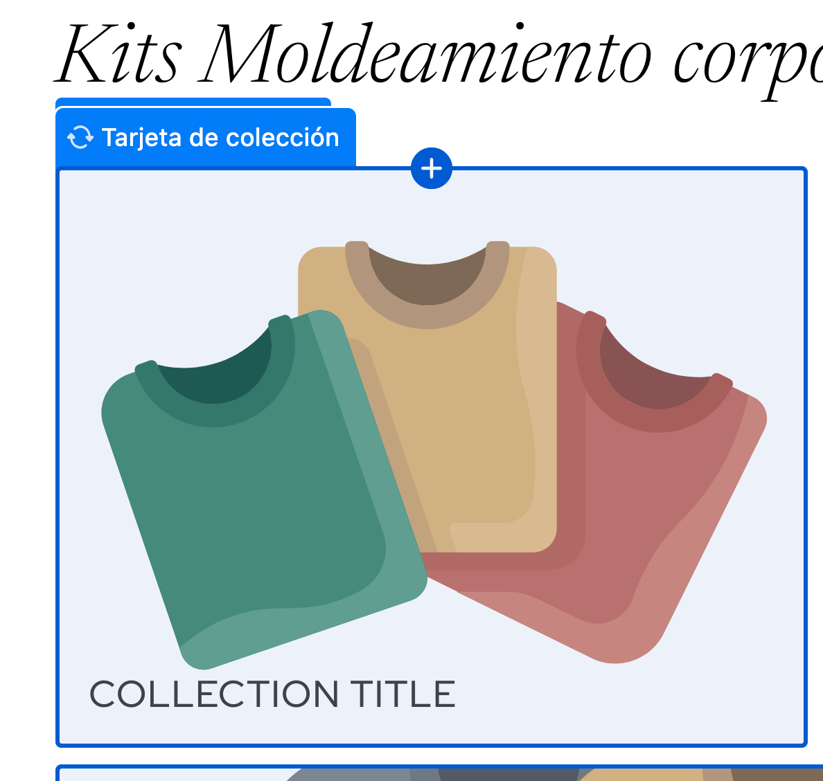 Kit Moldeamiento Corporal Premium: Equipo + Entrenamiento + Certificación